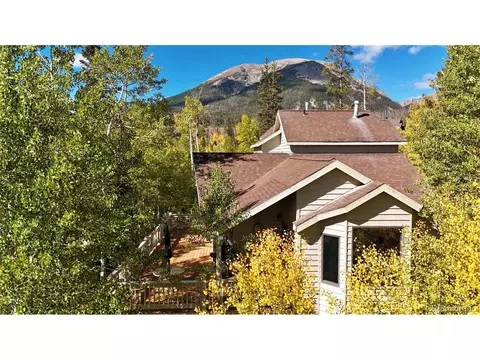 28 Sky Pilot Dr, Silverthorne, CO 80498 photo 9