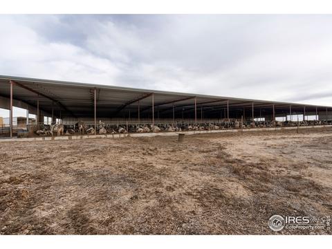 18374 County Road 2, Wiggins, CO 80654 photo 14