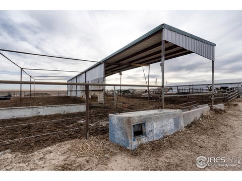 18374 County Road 2, Wiggins, CO 80654 photo 33