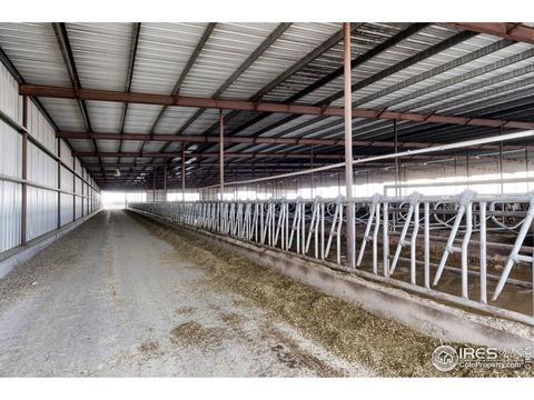 18374 County Road 2, Wiggins, CO 80654 photo 16