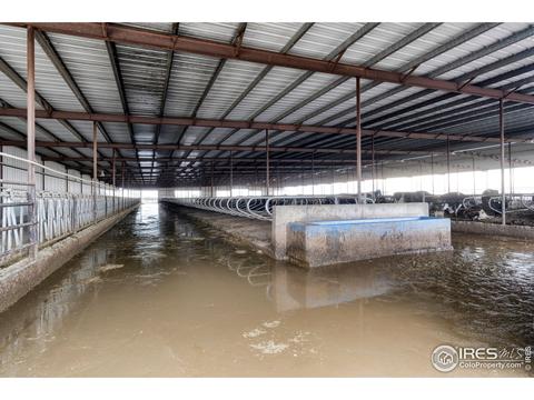18374 County Road 2, Wiggins, CO 80654 photo 18