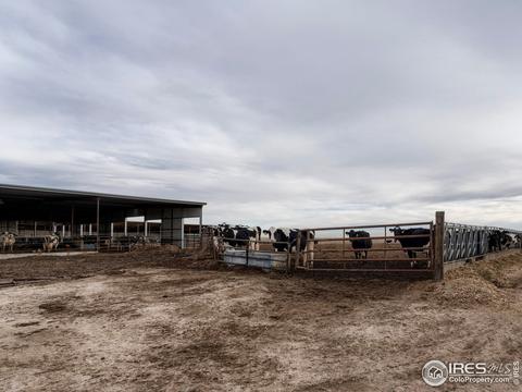 18374 County Road 2, Wiggins, CO 80654 photo 12