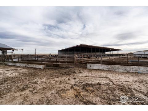 18374 County Road 2, Wiggins, CO 80654 photo 31