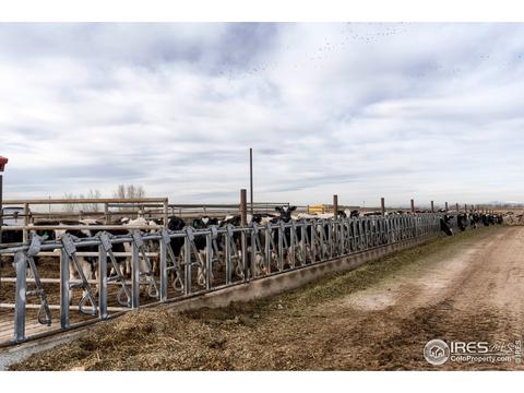 18374 County Road 2, Wiggins, CO 80654 photo 32
