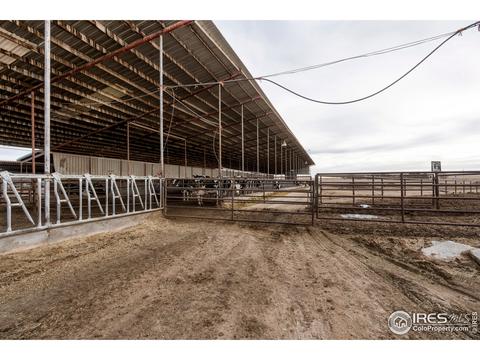 18374 County Road 2, Wiggins, CO 80654 photo 29