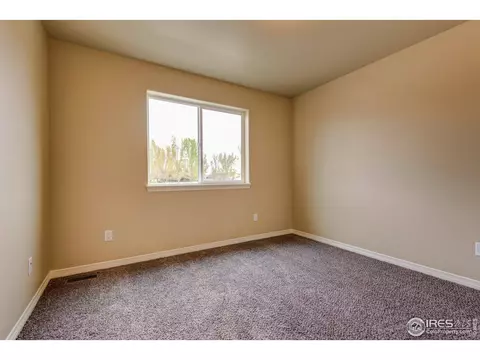 1295 Baker Pass St, Windsor, CO 80550 photo 23