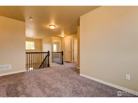 1295 Baker Pass St, Windsor, CO 80550 photo 22