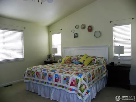 1423 Boardwalk Dr, Windsor, CO 80550 photo 13