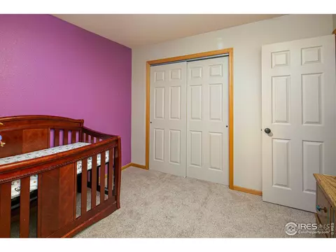 905 Cliffrose Way, Severance, CO 80550 photo 17