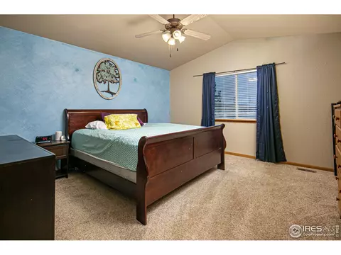 905 Cliffrose Way, Severance, CO 80550 photo 11