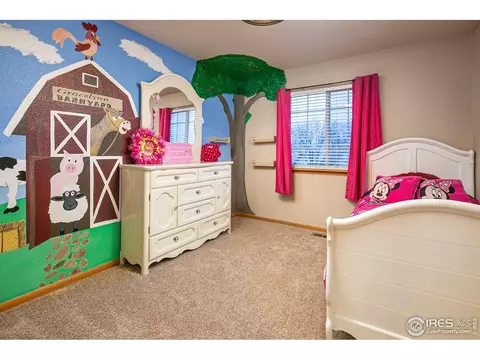 905 Cliffrose Way, Severance, CO 80550 photo 14