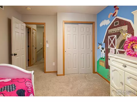 905 Cliffrose Way, Severance, CO 80550 photo 15