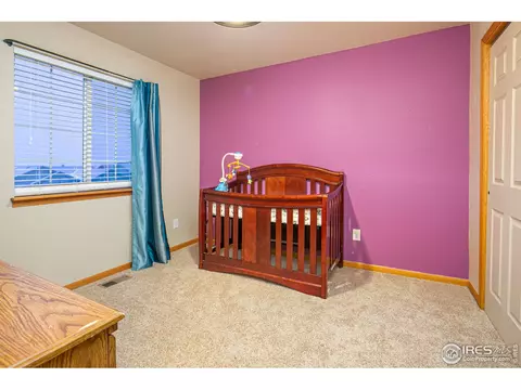 905 Cliffrose Way, Severance, CO 80550 photo 16