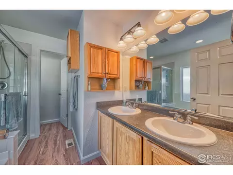 5519 Killarney St, Denver, CO 80249 photo 9