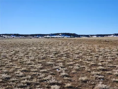 0 County Rd 780, Model, CO 81059 photo 39