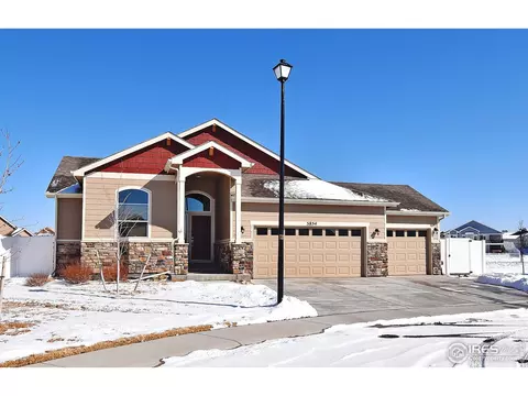 5854 Osbourne Ct, Windsor, CO 80550 photo 1