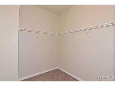 5854 Osbourne Ct, Windsor, CO 80550 photo 10