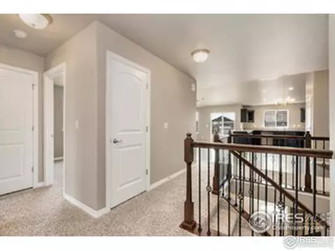 1291 Wild Basin Rd, Windsor, CO 80550 photo 4