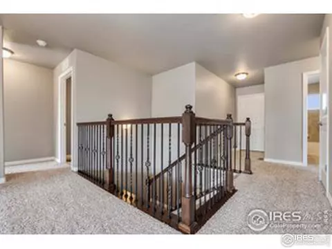 1291 Wild Basin Rd, Windsor, CO 80550 photo 3