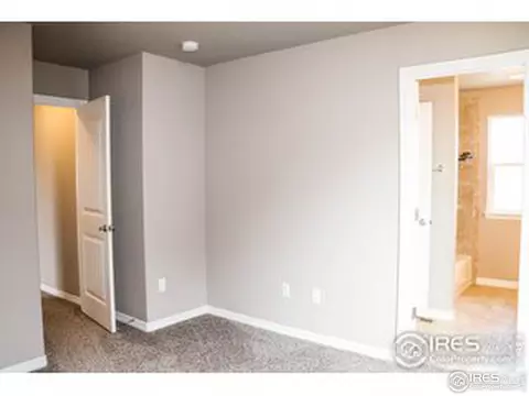 1385 Copeland Falls Rd, Windsor, CO 80550 photo 13