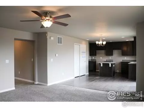 1385 Copeland Falls Rd, Windsor, CO 80550 photo 4