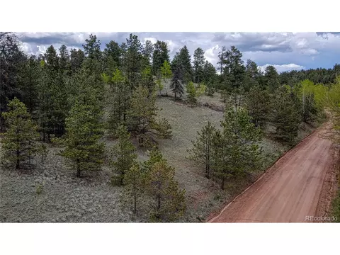 581 Spring Valley Ln, Florissant, CO 80816