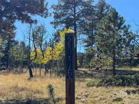 2046 Bellows Rd, Hartsel, CO 80449 photo 5