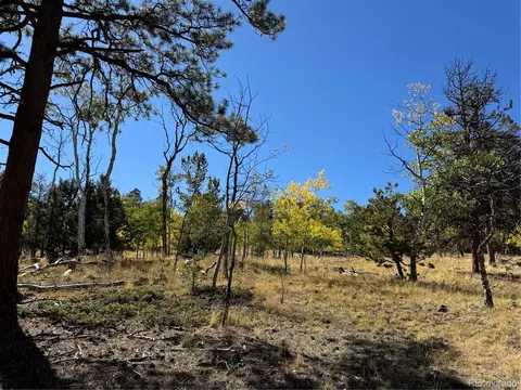 2046 Bellows Rd, Hartsel, CO 80449 photo 6