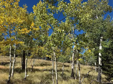 2046 Bellows Rd, Hartsel, CO 80449 photo 2