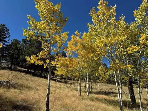 2046 Bellows Rd, Hartsel, CO 80449