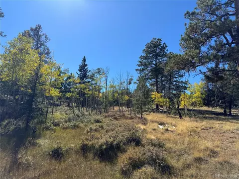 2046 Bellows Rd, Hartsel, CO 80449 photo 4