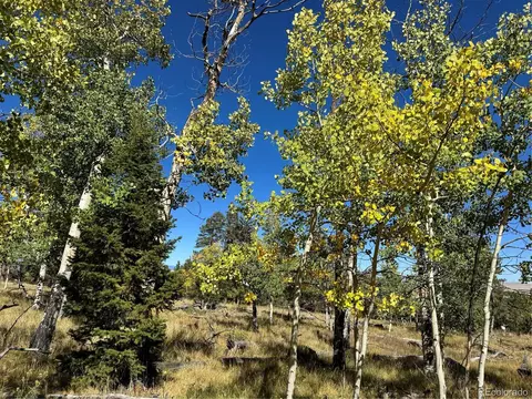 2046 Bellows Rd, Hartsel, CO 80449 photo 3