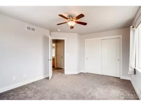 44 Veronica Dr, Windsor, CO 80550 photo 20