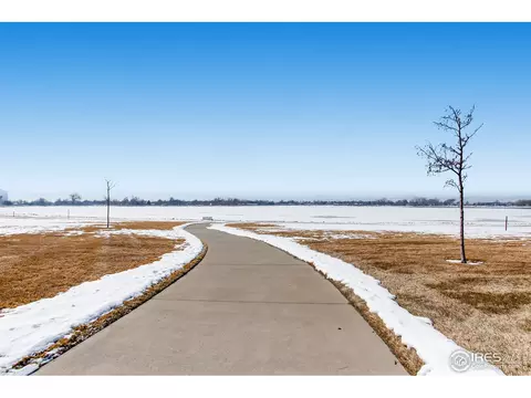 44 Veronica Dr, Windsor, CO 80550 photo 31