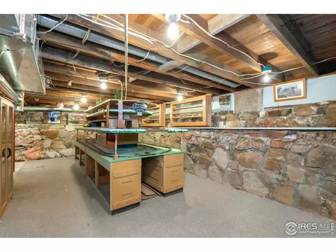 528 Locust St, Windsor, CO 80550 photo 18