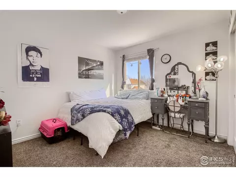 5829 Wetland Loop, Frederick, CO 80504 photo 36