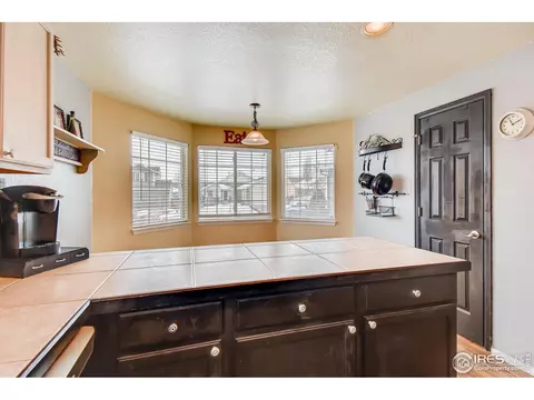 5385 Bear Ct, Frederick, CO 80504 photo 11