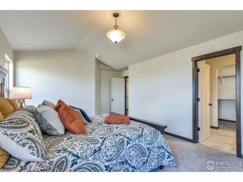 5029 Long Dr, Timnath, CO 80547 photo 15