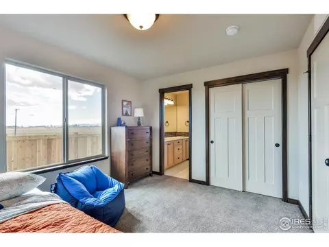 5029 Long Dr, Timnath, CO 80547 photo 23