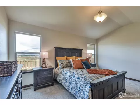 5029 Long Dr, Timnath, CO 80547 photo 14