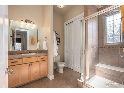 4608 Pompano Dr, Windsor, CO 80550 photo 19