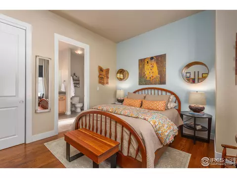 4608 Pompano Dr, Windsor, CO 80550 photo 18