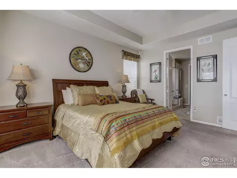 7770 E 148th Dr, Thornton, CO 80602 photo 16
