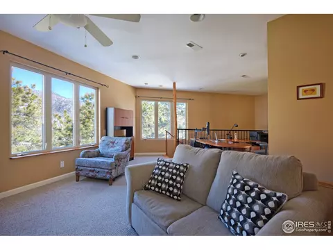 345 Estes Park Estates Dr, Lyons, CO 80540 photo 16