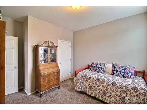 932 Charlton Dr, Windsor, CO 80550 photo 29