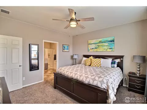 932 Charlton Dr, Windsor, CO 80550 photo 22