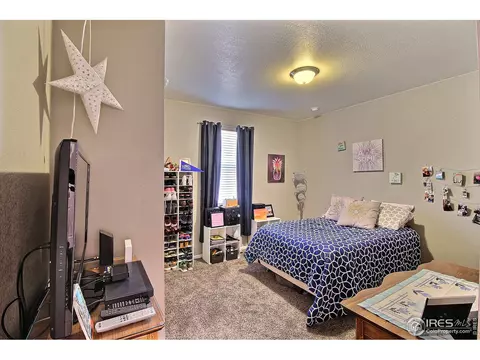 932 Charlton Dr, Windsor, CO 80550 photo 27