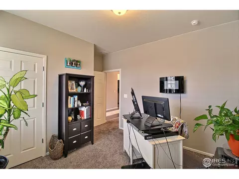 932 Charlton Dr, Windsor, CO 80550 photo 30