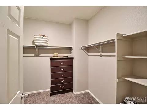932 Charlton Dr, Windsor, CO 80550 photo 26