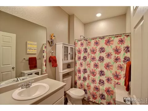 932 Charlton Dr, Windsor, CO 80550 photo 32